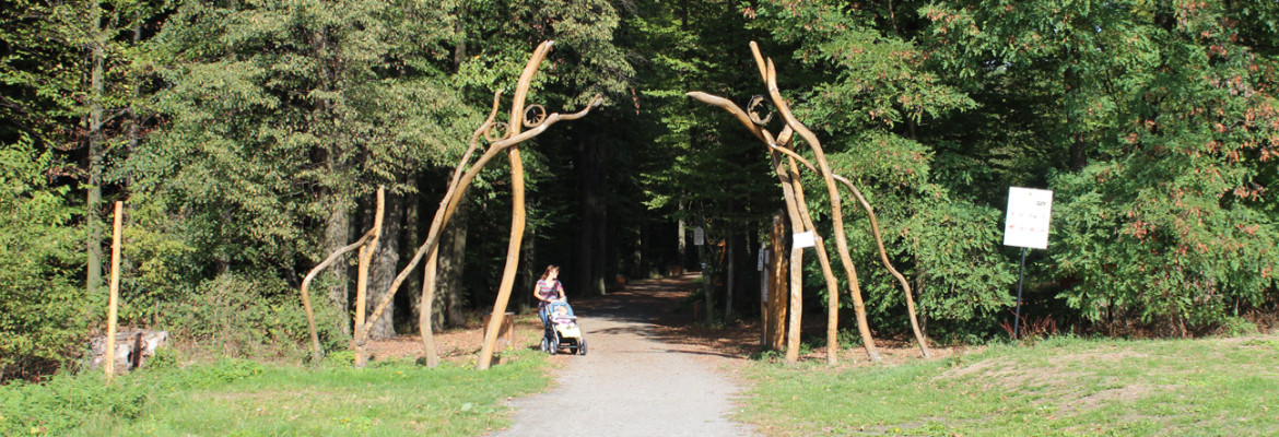 Vstup do Lesního parku Klimkovice
